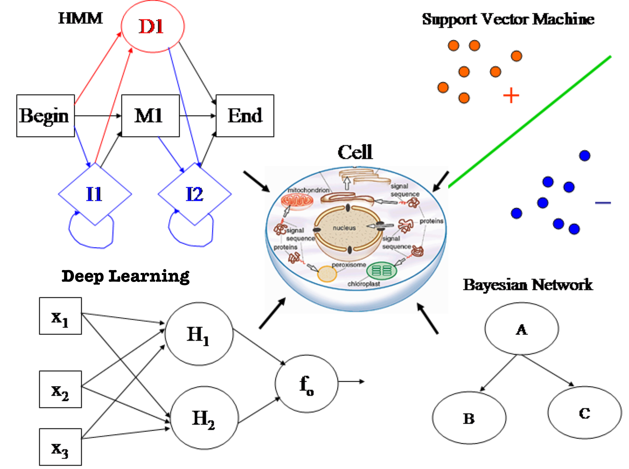 bayesian network in machine learning